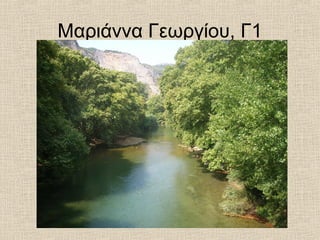 Μαριάννα Γεωργίου, Γ1
 