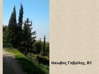 Ιάκωβος Γαβρίλης, Β1
 