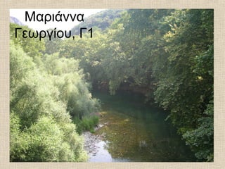 Μαριάννα
Γεωργίου, Γ1
 