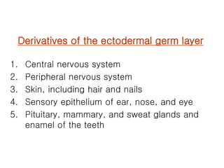 (마더리스크라운드) Human Embryology | PPT