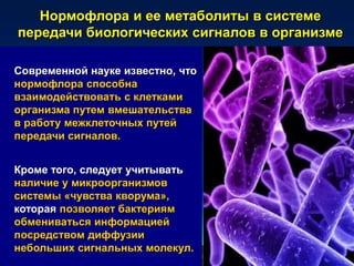 Нормофлора и ее метаболиты в системе
передачи биологических сигналов в организме
Современной науке известно, что
нормофлора способна
взаимодействовать с клетками
организма путем вмешательства
в работу межклеточных путей
передачи сигналов.
Кроме того, следует учитывать
наличие у микроорганизмов
системы «чувства кворума»,
которая позволяет бактериям
обмениваться информацией
посредством диффузии
небольших сигнальных молекул.
 