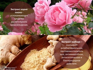 Экстракт корня
пиона -
успокаивающее
средство
растительного
происхождения.
Экстракт имбиря –
оказывает
антибактериальное,
противовоспалитель
ное, антимикробное,
антисептическое и
бактерицидное
действие.
 