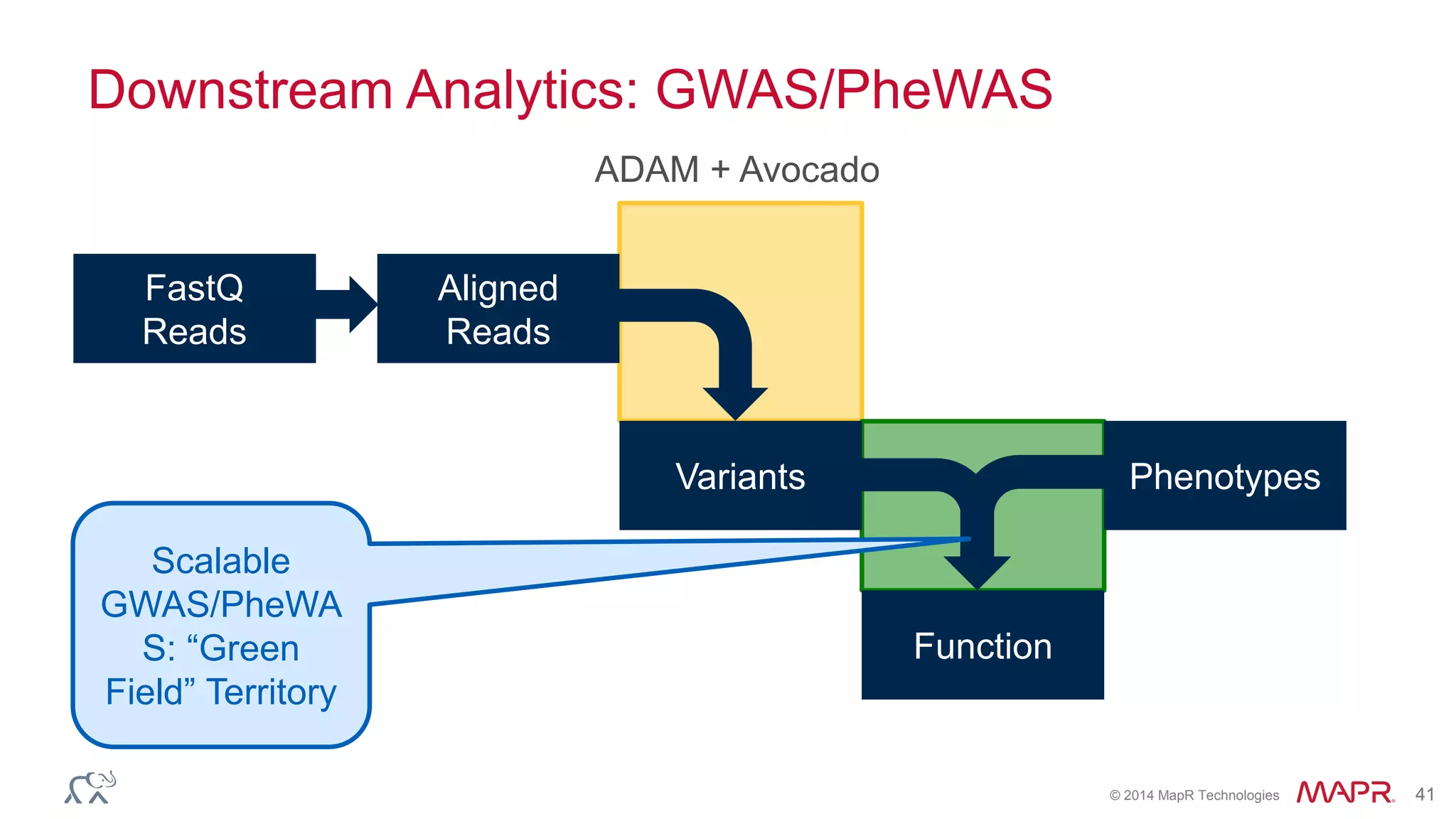© 2014 MapR Technologies 41
Downstream Analytics: GWAS/PheWAS
FastQ
Reads
Aligned
Reads
Variants
Function
Phenotypes
Scalable
GWAS/PheWA
S: “Green
Field” Territory
ADAM + Avocado
 
