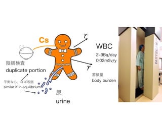 Cs


ŗʖ
duplicate portion

urine
ƽʤ飬ۤܵȁ
similar if in equilibrium
e
body burden
WBC
2 3Bq/day
0.02mSv/y
 