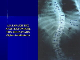 ΔΙΑΤΑΡΑΧΗ ΤΗΣ
ΑΡΧΙΤΕΚΤΟΝΙΚΗΣ
ΤΩΝ ΣΠΟΝΔΥΛΩΝ
(Spine Architecture)
 