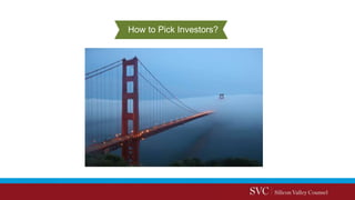 How to Pick Investors?
 