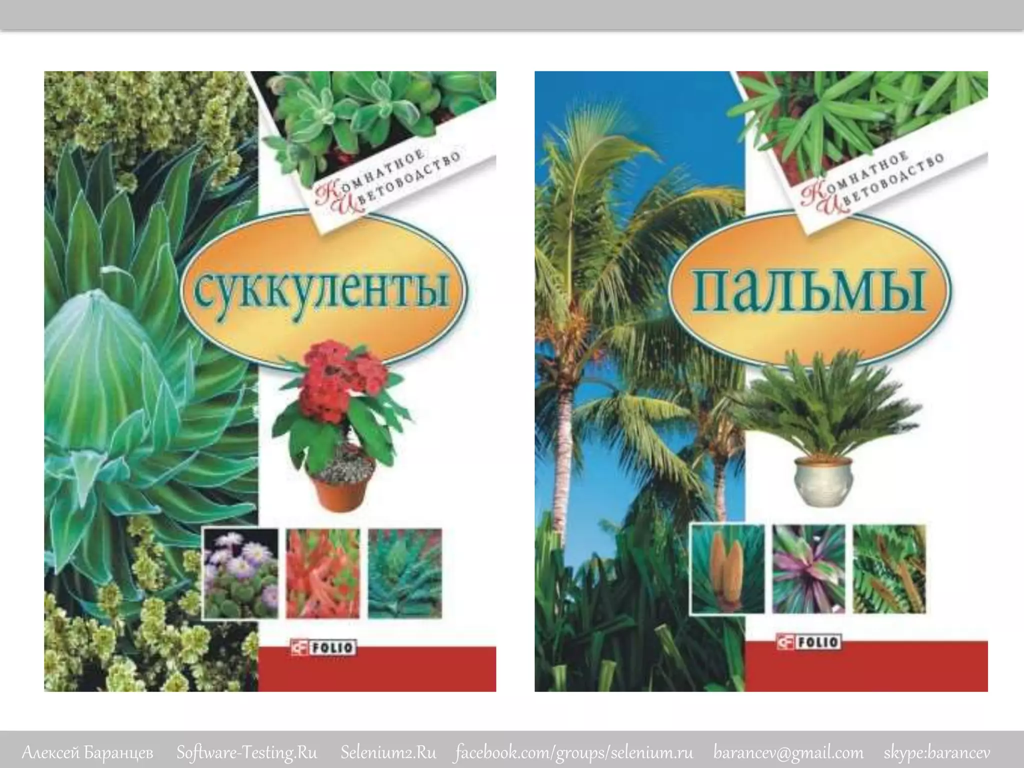 Алексей Баранцев Software-Testing.Ru Selenium2.Ru facebook.com/groups/selenium.ru barancev@gmail.com skype:barancev
 