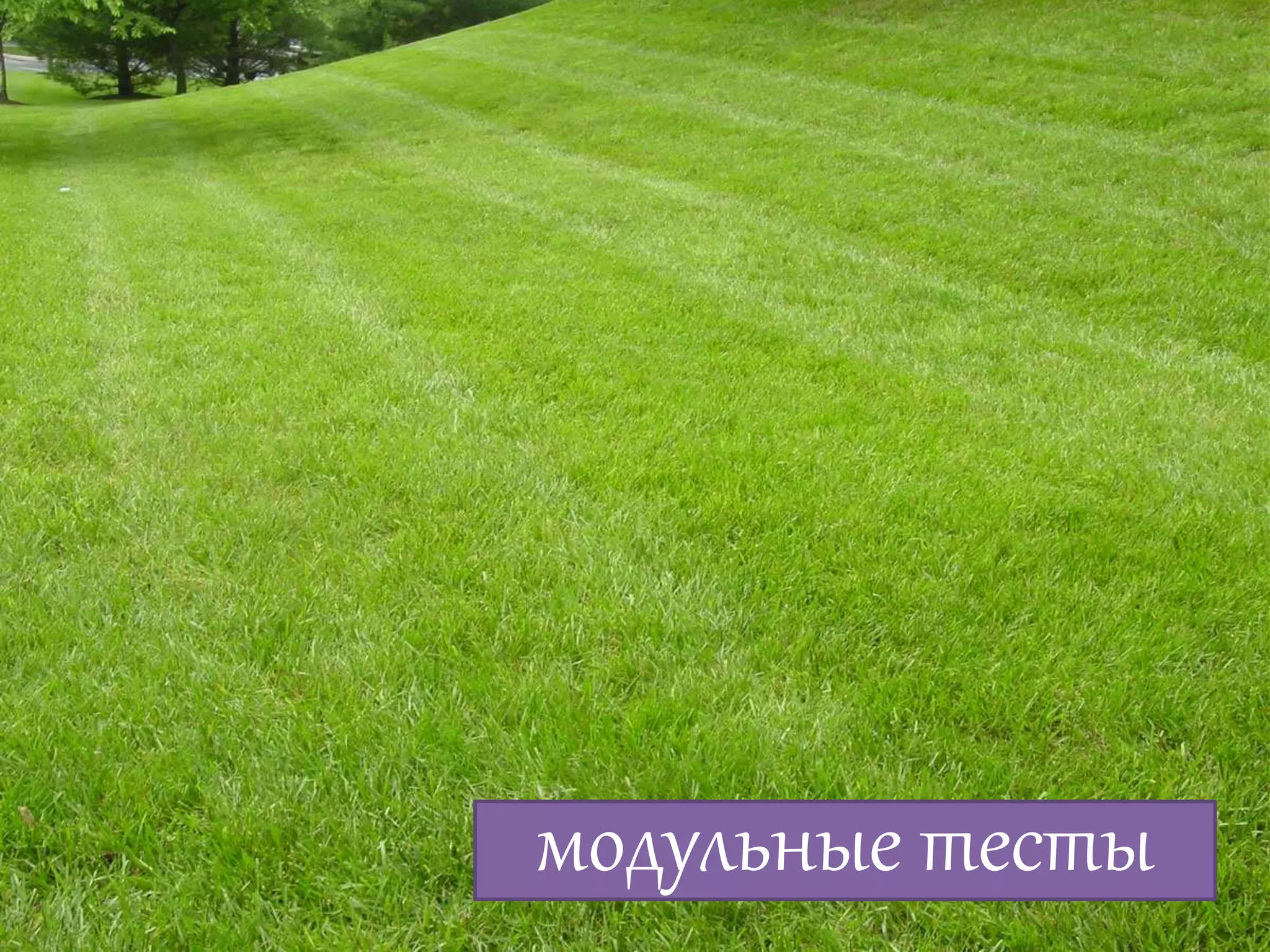 Алексей Баранцев Software-Testing.Ru Selenium2.Ru facebook.com/groups/selenium.ru barancev@gmail.com skype:barancev
модульные тесты
 