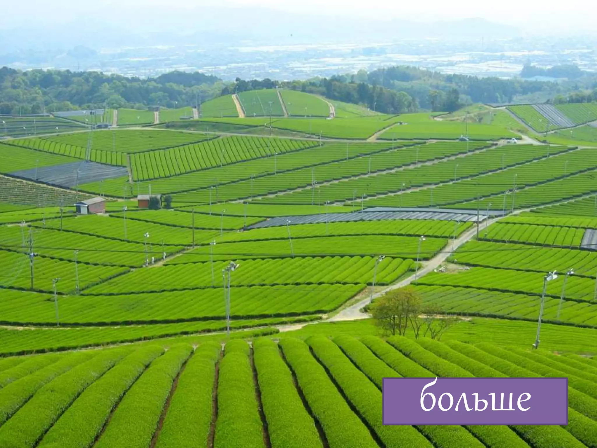 Алексей Баранцев Software-Testing.Ru Selenium2.Ru facebook.com/groups/selenium.ru barancev@gmail.com skype:barancev
больше
 