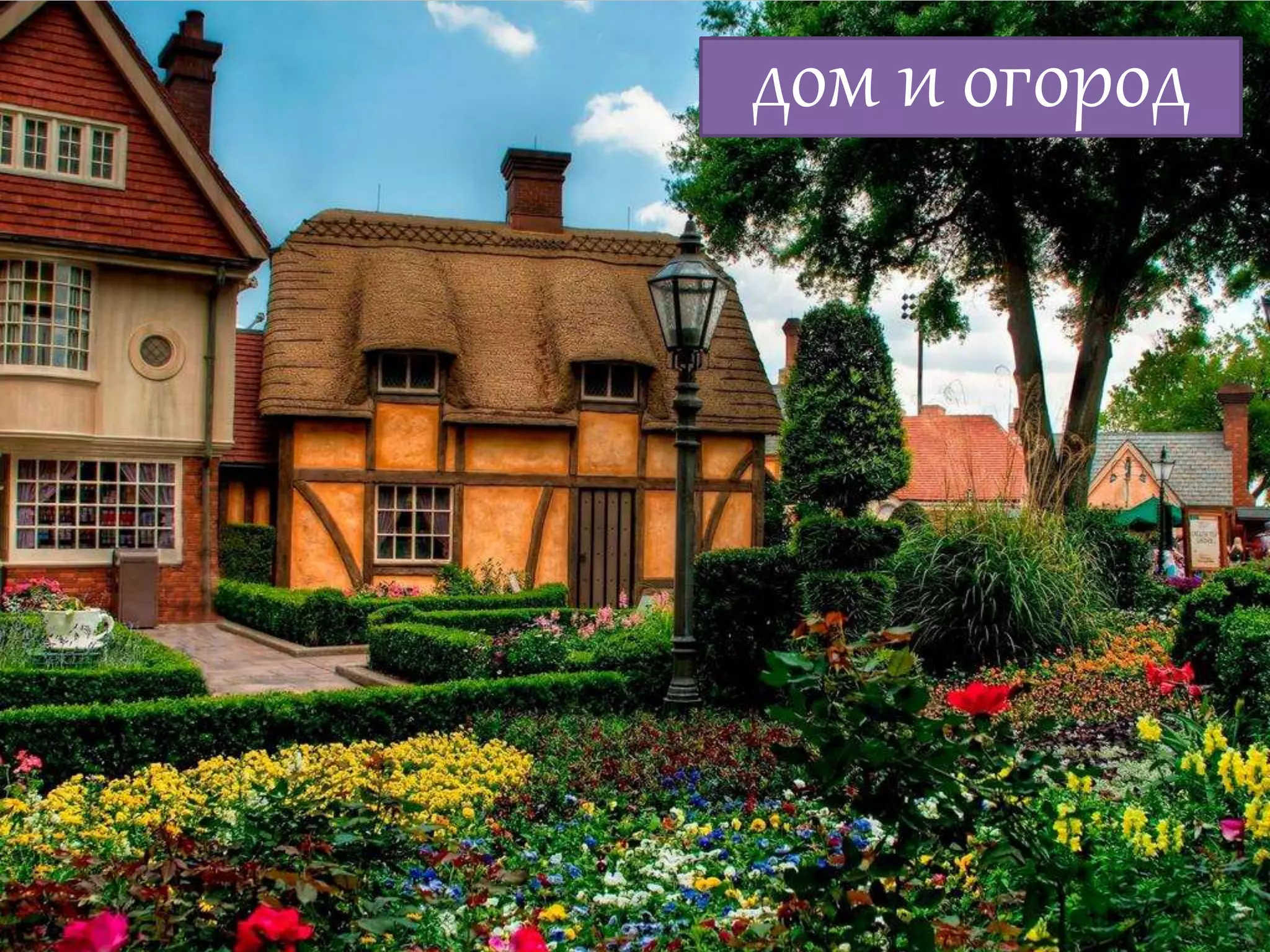 Алексей Баранцев Software-Testing.Ru Selenium2.Ru facebook.com/groups/selenium.ru barancev@gmail.com skype:barancev
Дом и огороддом и огород
 