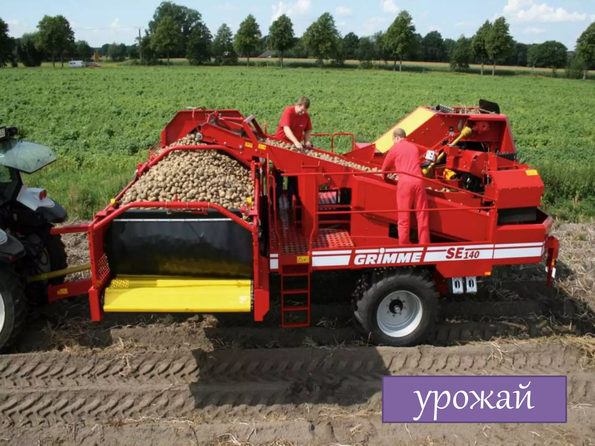 Алексей Баранцев Software-Testing.Ru Selenium2.Ru facebook.com/groups/selenium.ru barancev@gmail.com skype:barancev
урожай
 