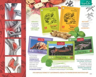 Katalog summer 2015 TianDe