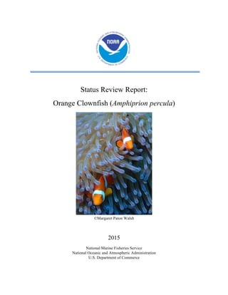 Status Review Report:
Orange Clownfish (Amphiprion percula)
©Margaret Paton Walsh
2015
National Marine Fisheries Service
National Oceanic and Atmospheric Administration
U.S. Department of Commerce
 