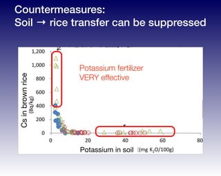 土壌中の交換性カリ含量と玄米中の放射性セシ
稲わらの取扱による土壌中の交換性カリ含
0
200
400
600
800
1,000
1,200
0 20 40 60 80
玄米中の放射性セシウム濃度
(Bq/kg)
土壌中の交換性カリ含量(mg K2O/100g)
H23 A地区
H24 B地区
H24 C地区
【解
・ 23
濃度
おい
の交
ム濃
・ 23
ウム
壌中
以上
基準
・ また
れの
図 5
（グライ土）
（灰色低地土）
（多湿黒ボク土）
カリ施肥により放射性セシウムの吸収
を抑えることができる。
カリ肥料を施用せず、土壌中の交換性カリ
含量が低い状態のままだと、高濃度の放射
性セシウムが吸収される。
Csinbrownrice
Potassium in soil
Potassium fertilizer
VERY effective
Countermeasures:
Soil → rice transfer can be suppressed
 