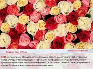 Роза. Экстракт розы обладает легким вяжущим свойством, регулирует работу сальных
желез. Обладает тонизирующим и небольшим лимфодренажным действием , потому
эффективен при уходе за проблемной кожей. Он оказывает сильный антибактериальный
эффект, благодаря чему эффективен в лечении акне.
Активный компонент:
 