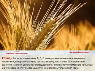 Солод – богат витаминами А, В, D, Е, минеральными солями и жирными
кислотами, которыми активно насыщает кожу. Оказывает благоприятное
действие на кожу, успокаивает раздражения, активизирует обменные процессы
и регенерацию клеток, повышает тонус и степень увлажнения кожи.
Активный компонент:
 