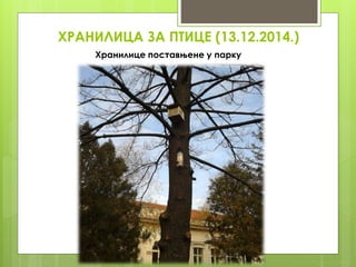 ХРАНИЛИЦА ЗА ПТИЦЕ (13.12.2014.)
Хранилице поставњене у парку
 
