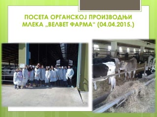 ПОСЕТА ОРГАНСКОЈ ПРОИЗВОДЊИ
МЛEКА „ВЕЛВЕТ ФАРМА“ (04.04.2015.)
 