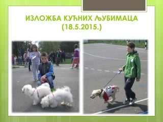 ИЗЛОЖБА КУЋНИХ ЉУБИМАЦА
(18.5.2015.)
 