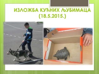 ИЗЛОЖБА КУЋНИХ ЉУБИМАЦА
(18.5.2015.)
 