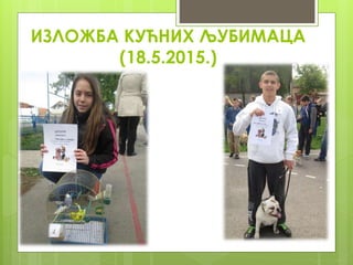 ИЗЛОЖБА КУЋНИХ ЉУБИМАЦА
(18.5.2015.)
 