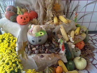 ИЗРАДА ЕКО КУТКА
 