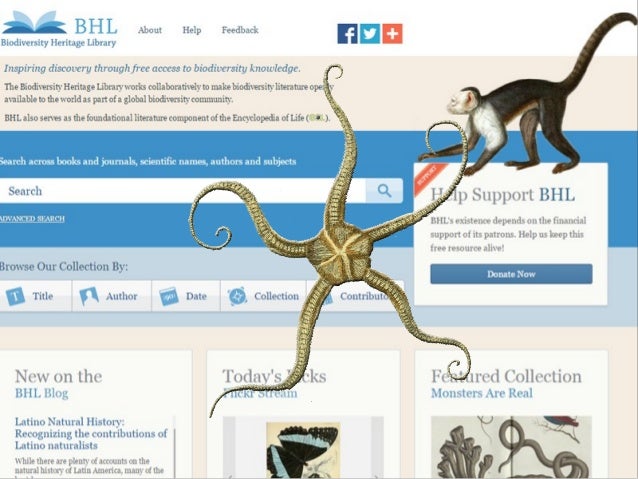Communications Coordinator Natural History Museum Salary Communications Coordinator Natural History Museum Salary