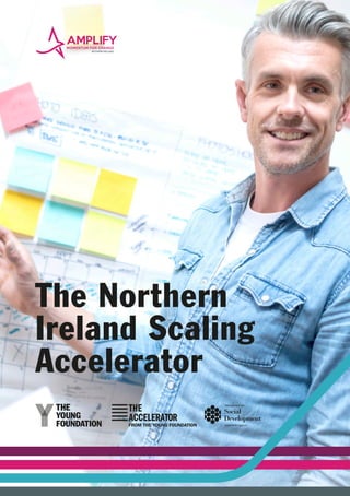 The Northern
Ireland Scaling
Accelerator
 