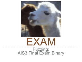 EXAM
Fuzzing:
AIS3 Final Exam Binary
 