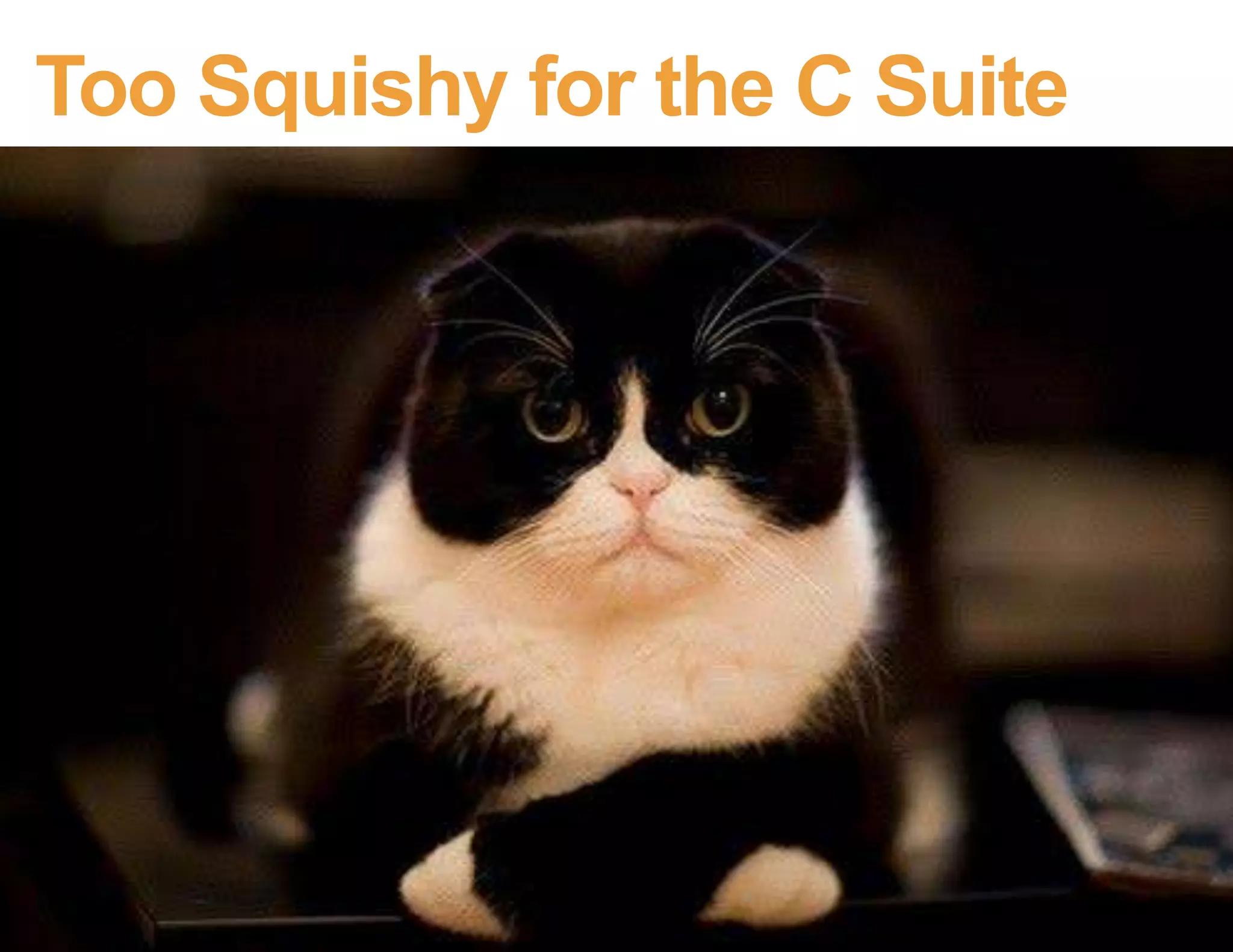 Internal tools
When there’s no competition
Enterprise UX (internal tools)
 