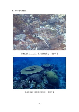 73
v 綠島珊瑚礁體檢
綠蠵龜 Chelonia mydas，柴口調查點附近 － 簫伊真 攝
綠島珊瑚礁，硬珊瑚多樣性高 －徐巧玲 攝
 