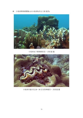 75
v 小琉球珊瑚礁體檢 (由小琉球海洋志工隊 提供)
小琉球水下珊瑚礁狀況－ 洪桂蓮 攝
小琉球多處可見 20－30 公分的硨磲貝－ 洪桂蓮 攝
 