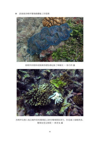 81
v 澎湖東西嶼坪珊瑚礁體檢工作假期
東嶼坪西側和南側調查樣點都紀錄了硨磲貝 － 徐巧玲 攝
西嶼坪北側土地公廟外的死珊瑚區已經有珊瑚開始著生，但是碰上強颱肆虐，
珊瑚也受災傾倒 － 林育朱 攝
 