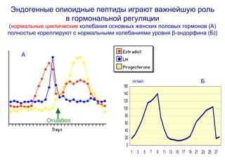 Эндогенные опиоидные пептиды играют важнейшую роль
в гормональной регуляции
(нормальные циклические колебания основных женских половых гормонов (А)
полностью кореллируют с нормальными колебаниями уровня β-эндорфина (Б))
0
20
40
60
80
100
120
140
160
1 3 5 7 9 11 13 15 17 19 21 23 25 27
пг/мл
А
Б
 