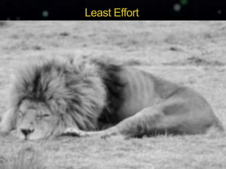 Yuan-Chi Tseng
Cognition & Experience Design (CXD) LabNCKU
Least Effort
 