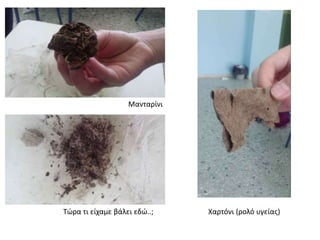 Τώρα τι είχαμε βάλει εδώ..; Χαρτόνι (ρολό υγείας)
Μανταρίνι
 