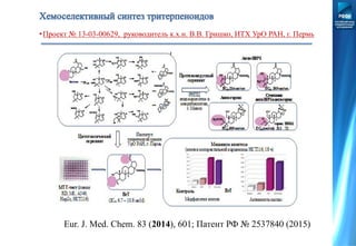 •Проект № 13-03-00629, руководитель к.х.н. В.В. Гришко, ИТХ УрО РАН, г. Пермь
Eur. J. Med. Chem. 83 (2014), 601; Патент РФ № 2537840 (2015)
 