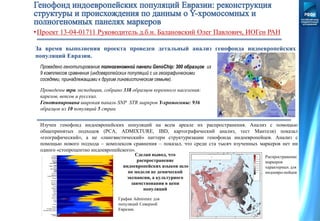 За время выполнения проекта проведен детальный анализ генофонда индоевропейских
популяций Евразии.
Проведено генотипирование полногеномной панели GenoChip: 300 образцов из
9 комплексов сравнения (индоевропейских популяций с их географическими
соседями, принадлежащими к другим лингвистическим семьям).
Проведены три экспедиции, собрано 338 образцов коренного населения:
карелов, вепсов и русских.
Генотипирована широкая паналь SNP STR маркров Y-хромосомы: 936
образцов из 10 популяций 5 стран.
Распространение
маркеров
характерных для
индоевро-пейцев
График Admixture для
популяций Северной
Евразии.
Сделан вывод, что
распространение
индоевропейских языков шло
по модели не демической
экспансии, а культурного
заимствования в цепи
популяций
Изучен генофонд индоевропейских популяций на всем ареале их распространения. Анализ с помощью
общепринятых подходов (PCA, ADMIXTURE, IBD, картографический анализ, тест Мантеля) показал
«географический», а не «лингвистический» паттерн структуризации генофонда индоевропейцев. Анализ с
помощью нового подхода – комплексов сравнения – показал, что среди ста тысяч изученных маркеров нет ни
одного «стопроцентно индоевропейского».
•Проект 13-04-01711 Руководитель д.б.н. Балановский Олег Павлович, ИОГен РАН
 