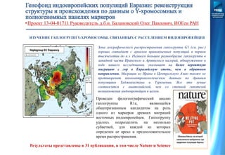 •Проект 13-04-01711 Руководитель д.б.н. Балановский Олег Павлович, ИОГен РАН
ИЗУЧЕНИЕ ГАПЛОГРУПП Y-ХРОМОСОМЫ, СВЯЗАННЫХ С РАССЕЛЕНИЕМ ИНДОЕВРОПЕЙЦЕВ
Зона географического распространения гаплогруппы G1 (см. рис.)
хорошо совпадает с ареалом ираноязычных популяций в первом
тысячелетии до н.э. Намного большее разнообразие гаплогруппы в
западной части Иранского и Армянского нагорий, обнаруженное в
ходе нашего исследования, указывает на более вероятную
миграцию с гор в Евразийскую степь, чем в обратном
направлении. Миграции из Ирана в Центральную Азию также не
противоречат палеоантропологическим данным по древним
популяциям Таджикистана и Туркмении. Все это лучше
соотносится с анатолийской, чем со степной гипотезой
возникновения индоевропейцев в целом.
Проведен филогеографический анализ
гаплогруппы R1a, являющейся
общепризнанным кандидатом на роль
одного из маркеров древних миграций
восточных индоевропейцев. Гаплогруппу
удалось подразделить на несколько
субветвей, для каждой из которых
определен ее ареал и предположительное
время распространения.
Результаты представлены в 31 публикации, в том числе Nature и Science
 