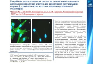 •Проект № 13-04-01383, руководитель к.х.н. Н. В. Нуколова, Химический факультет
МГУ им. М.В.Ломоносова, г. Москва
Флуоресцентные фотографии клеток глиомы С6 после
взаимодействия с наночастицами оксида железа, конъюгированных
с моноклональными антителами к VEGF(эндотелиальный фактор
роста сосудов) – « А» и с неспецифическими иммуноглобулинами
мыши – «Б».
Одной из самых агрессивных и распространённых
опухолей головного мозга является мультиформная
глиобластома. Особенности структуры сосудистой
сети опухоли мозга (высокая степень
васкуляризации, повышенная проницаемость
сосудов, нарушение целостности ГЭБ) позволяют
высокомолекулярным соединениям и даже
наночастицам проникать из кровотока в
опухолевую ткань.
В ходе исследований были разработаны
методики синтеза контрастных агентов для
магнитно-резонансной томографии (МРТ) на
основе хелатов гадолиния и наночастиц оксида
железа (МНЧ) и их конъюгатов с векторными
молекулами - моноклональными антителами к
фактору роста эндотелия сосудов (VEGF) и
коннексину 43 (Сх43). Было показано, что Cx43- и
VEGF-специфичные контрастные агенты способны
визуализировать Cx43- и VEGF-позитивные клетки
как in vitro, так и in vivo. Таким образом,
разработанные контрастные системы могут быть
востребованы для повышения визуализации и
детализации при диагностике опухолей.
VEGF-targeted magnetic nanoparticles for MRI visualization of brain
tumor N.V. Nukolova, M. Sokolsky-Papkov, S.A. Shein, T.O. Sandalova,
H. Vishwasrao, N.F. Grinenko, I.L. Gubsky, A.M. Abakumov, A.V.
Kabanov and V.P. Chekhonin. Nanomedicine: Nanotechnology, Biology,
and Medicine, 11, 4, 2015
 