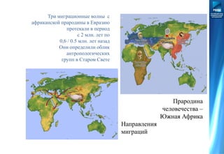 Прародина
человечества –
Южная Африка
Направления
миграций
Три миграционные волны с
африканской прародины в Евразию
протекали в период
с 2 млн. лет по
0,6 / 0.5 млн. лет назад
Они определили облик
антропологических
групп в Старом Свете
 