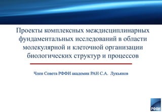 Проекты комплексных междисциплинарных
фундаментальных исследований в области
молекулярной и клеточной организации
биологических структур и процессов
 