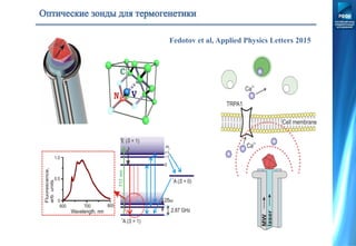 Fedotov et al, Applied Physics Letters 2015
 
