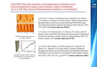 14-02-90447 Укр_а Исследование электропроводности доменных стенок
сегнетоэлектрических микро- и нано-доменов: теория и эксперимент
д.ф.-м.н. В.Я. Шур, Уральский федеральный университет, г. Екатеринбург
A.V. Ievlev, S. Jesse, A.N. Morozovska, E. Strelcov, E.A. Eliseev,
Y.V. Pershin, A. Kumar, V.Ya. Shur, and S.V. Kalinin, Intermittency,
Quaziperiodicity, and Chaos during Scanning Probe Microscopy
Tip-induced Ferroelectric Domain Switching, Nature Physics, 2014,
V.10, pp.59-66 (импакт-фактор 20.603)
A.V. Ievlev, A.N. Morozovska, E.A. Eliseev, V.Ya. Shur, and S.V.
Kalinin, Ionic field effect and memristive phenomena in single-point
ferroelectric domain switching, Nature Communications, 2014, V.5,
Article number: 4545 (импакт-фактор 10.742)
A.V. Ievlev, D.O. Alikin, A.N. Morozovska, O.V. Varenyk, E.A.
Eliseev, A.L. Kholkin, V.Ya. Shur, and S.V. Kalinin, Symmetry
Breaking and Electrical Frustration during Tip-Induced Polarization
Switching in the Non-Polar Cut of Lithium Niobate Single Crystals,
ACS Nano, 2015, V.9, No.1, pp.769-777 (импакт-фактор 12.881)
СМПО изображения доменов
на Y-срезе LiNbO3
(a) форма прорастающих доменов;
(b) зависимость сопротивления от
толщины образца.
 