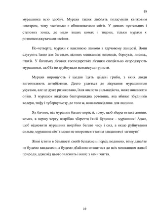 19
19
мурашника всю здобич. Мурахи також люблять поласувати квітковим
нектаром, тому частенько є обпилювачами квітів. У деяких пустельних і
степових зонах, де мало інших комах і тварин, тільки мурахи є
розповсюджувачаминасіння.
По-четверте, мурахи є важливою ланкою в харчовому ланцюзі. Вони
слугують їжею для багатьох лісових мешканців: ведмедів, борсуків, лисиць,
птахів. У багатьох лісових господарствах лісники спеціально огороджують
мурашники, щоб їх не зруйнували всюдисущітуристи.
Мурахи вирощують і щодня їдять цвілеві гриби, з яких люди
виготовляють антибіотики. Дехто удається до лікування мурашиними
укусами, але це дуже ризиковано, їхня кислота сильнодіюча, може викликати
опіки. З мурашок виділена бактерицидна речовина, яка вбиває збудників
холери, тифу і туберкульозу, до того ж, вона нешкідлива для людини.
Як бачите, від мурашок багато користі, тому, щоб зберегти цих дивних
комах, в першу чергу потрібно зберегти їхній будинок – мурашник! Адже,
щоб відновити мурашник потрібно багато часу і сил, а якщо руйнування
сильне, мурашина сім’я може не впоратися з таким завданням і загинути!
Живі істоти в більшості своїй беззахисні перед людиною, тому давайте
не будемо вандалами, а будемо дбайливо ставитися до всіх мешканцям живої
природи, аджевід цього залежить і наше з вами життя.
 