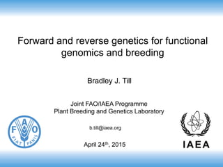 Forward and reverse genetics for functional
genomics and breeding
Bradley J. Till
Joint FAO/IAEA Programme
Plant Breeding and Genetics Laboratory
April 24th, 2015
b.till@iaea.org
 