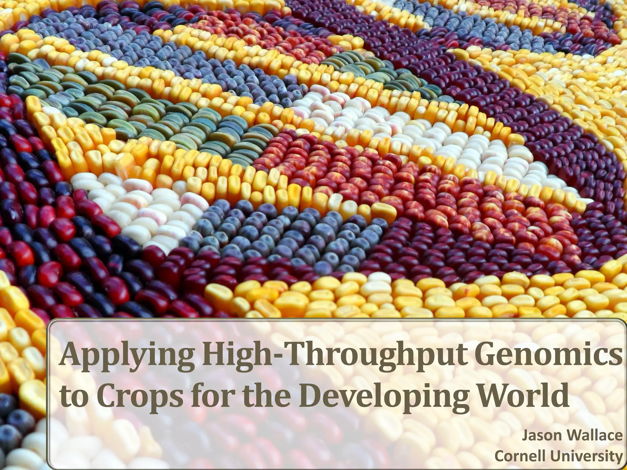 Applying High-Throughput Genomics
to Crops for the Developing World
Jason Wallace
Cornell University
 