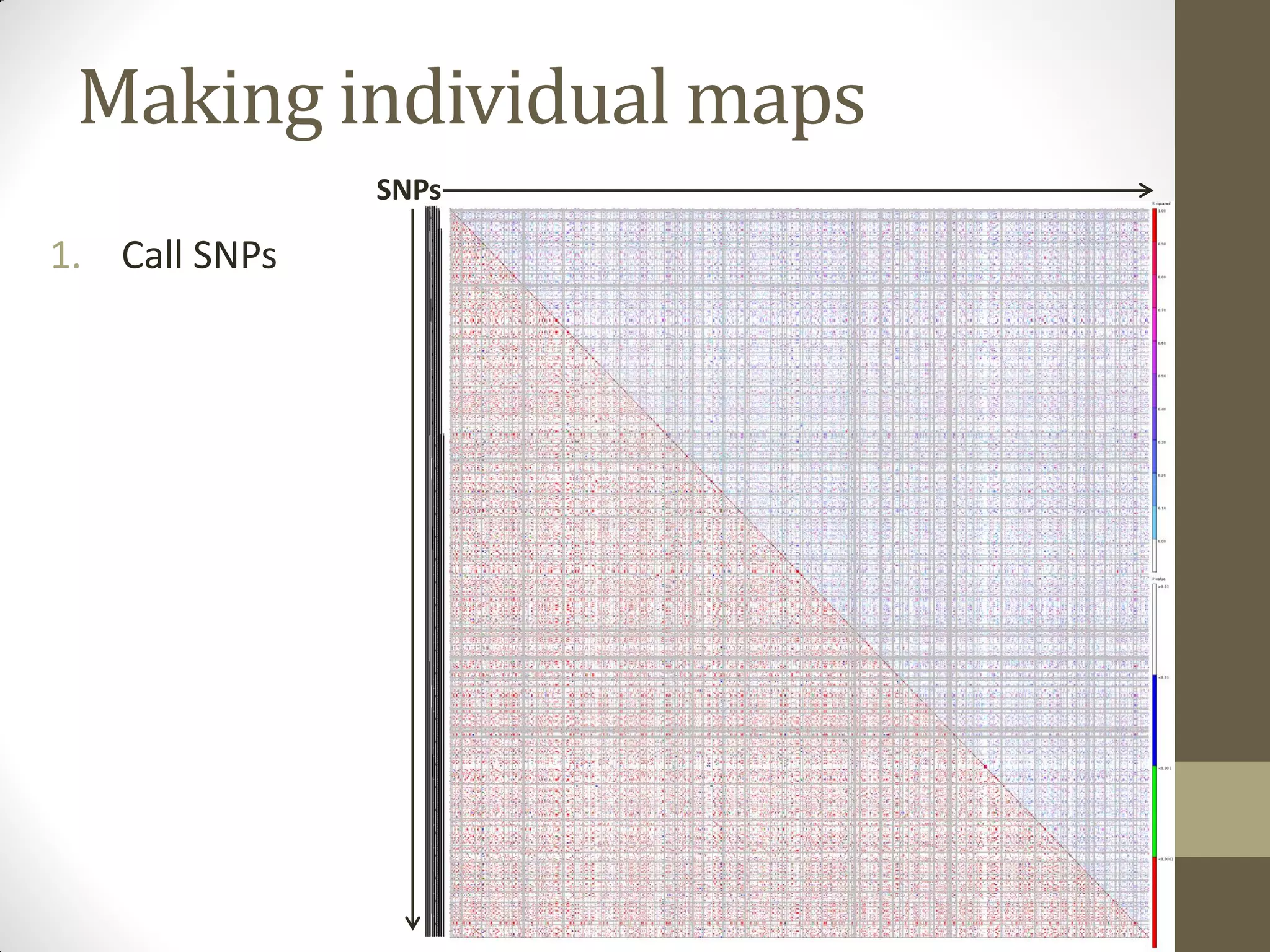 Making individual maps
1. Call SNPs
SNPs
 