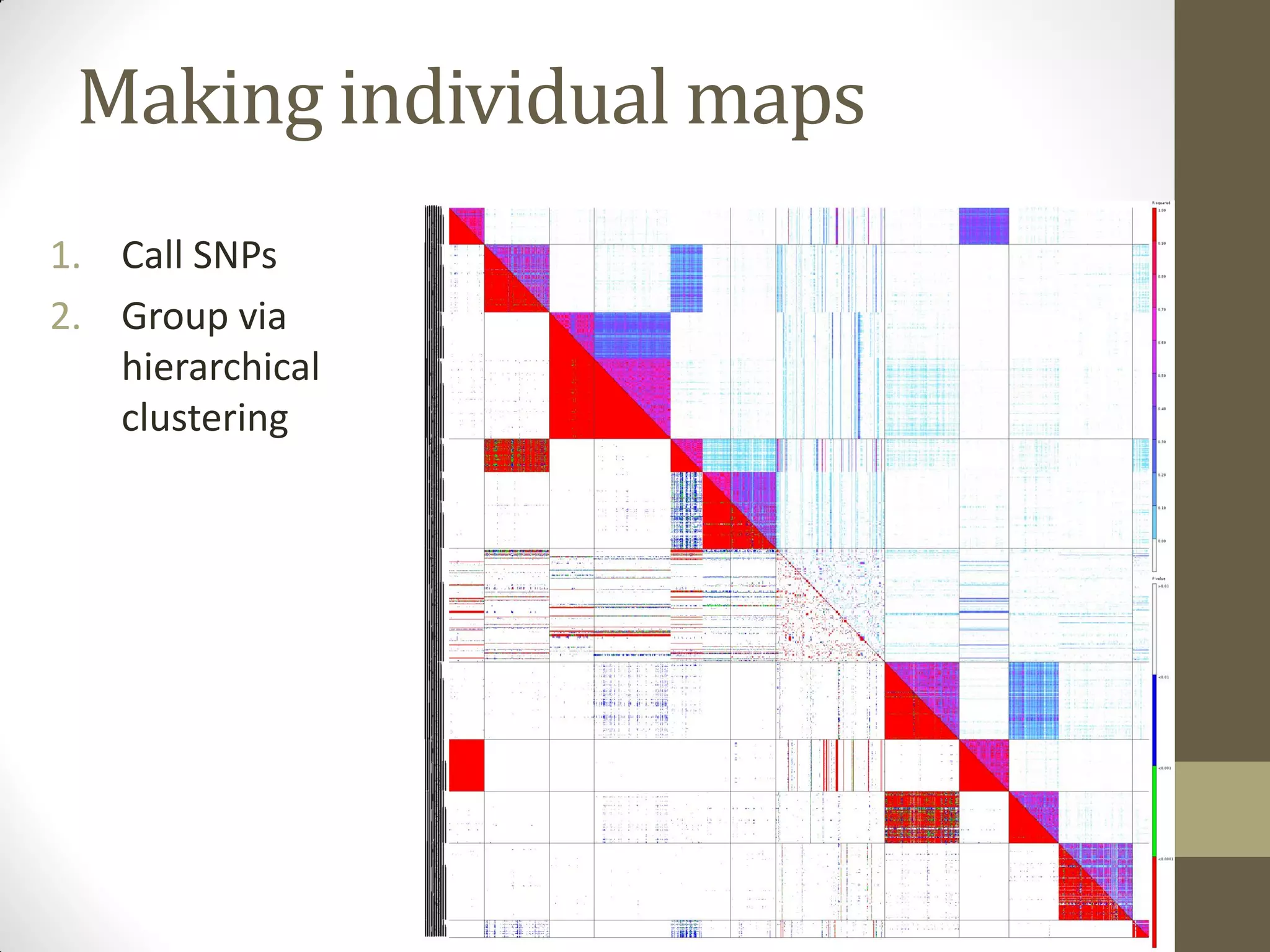 1. Call SNPs
2. Group via
hierarchical
clustering
Making individual maps
 