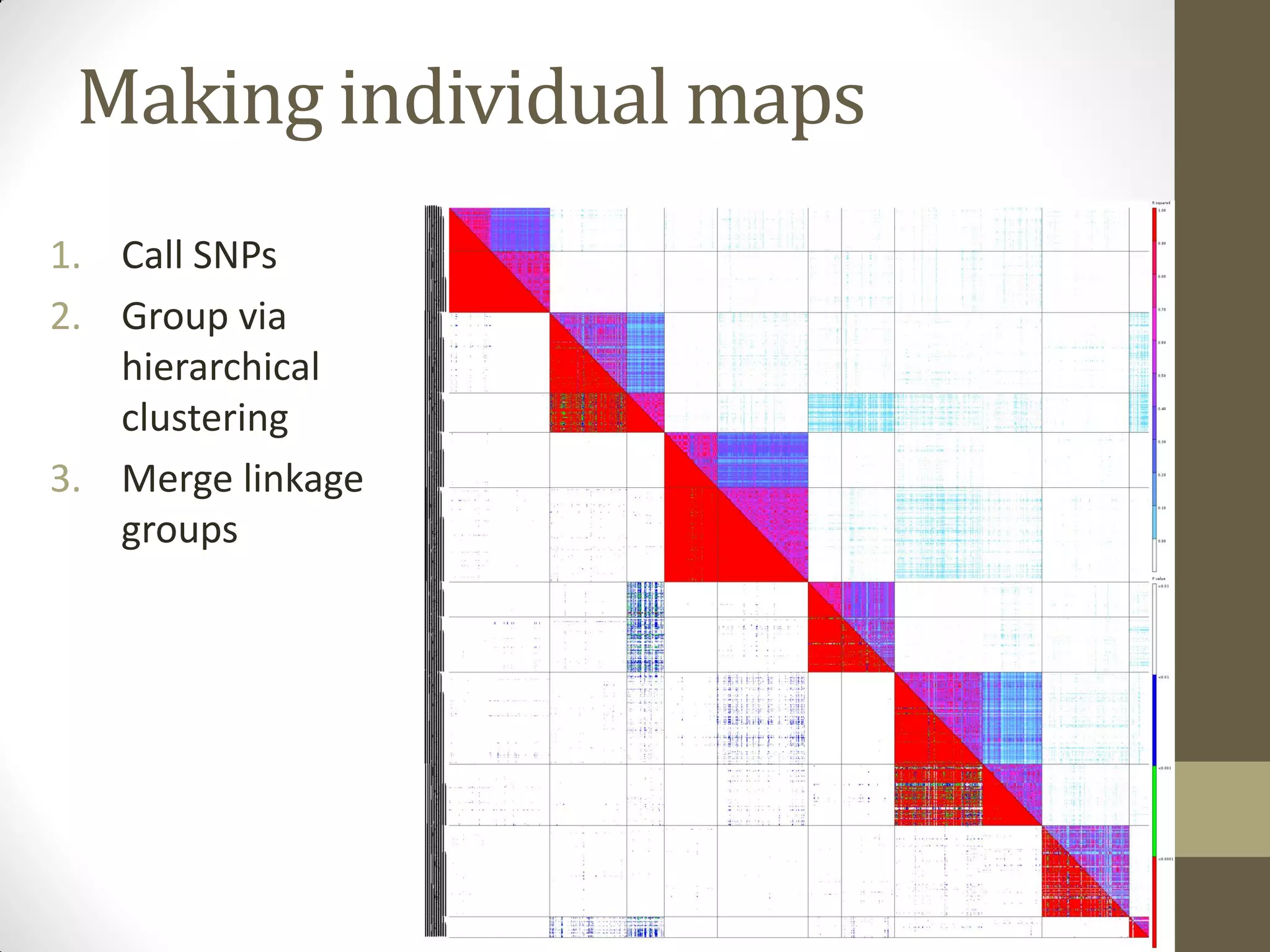 1. Call SNPs
2. Group via
hierarchical
clustering
3. Merge linkage
groups
Making individual maps
 